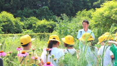 佐倉市立根郷小学校　教育CSRの実施